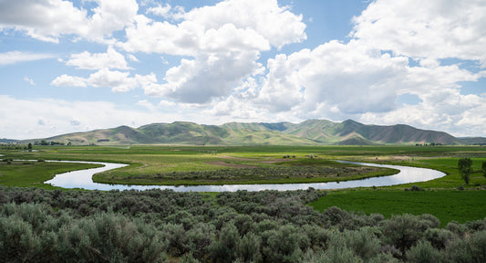 Cover image for The Creek