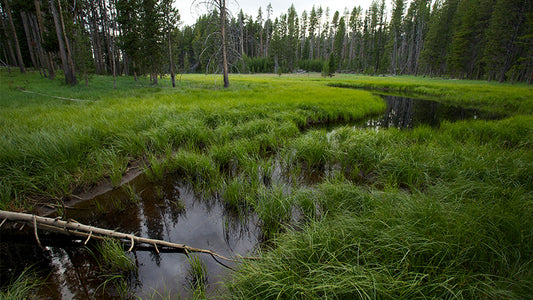 Cover image for Colorado Water Plan Announcement