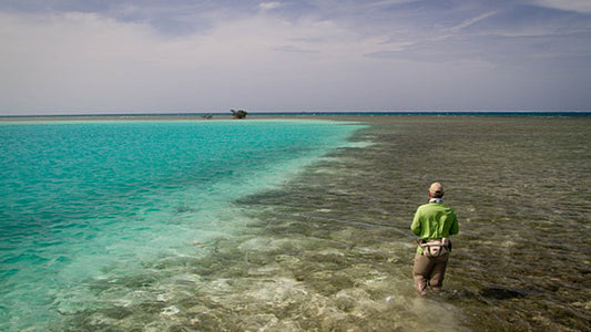 Cover image for Los Roques