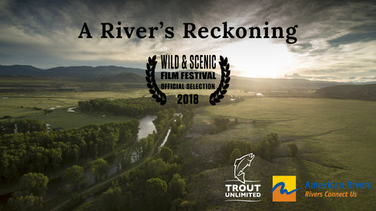 Cover image for A Rivers Reckoning | Film Release