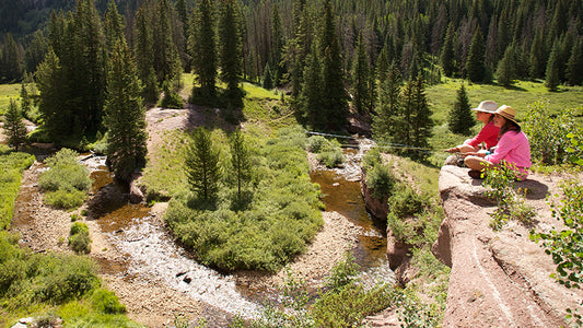 Cover image for DeGette Introduces Colorado Wilderness Act