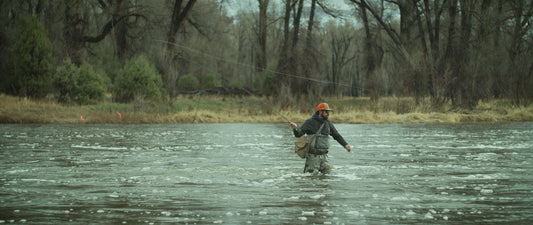 Cover image for Mending Lines