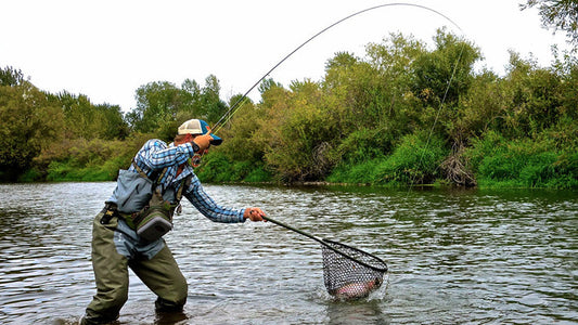 Cover image for Keep 'em wet, in the net