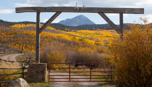 Cover image for A Vote for Colorados Good Life