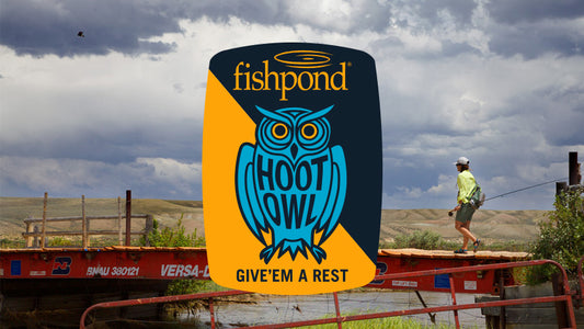 Cover image for Get your Hoot On