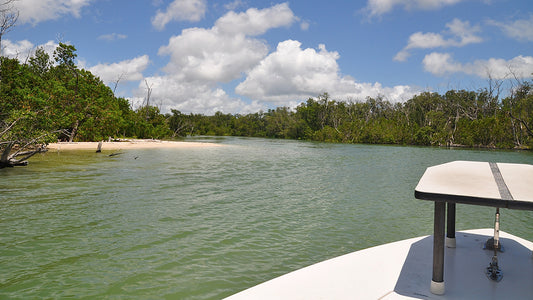 Cover image for Friday the 13th in Islamorada