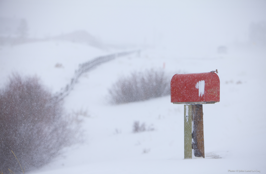 Cover image for Holiday Gift Ideas | Staff Picks