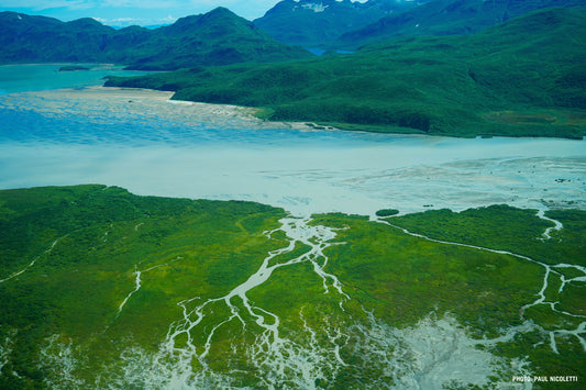 Cover image for End It, Don’t Extend It – An Update on the Pebble Mine