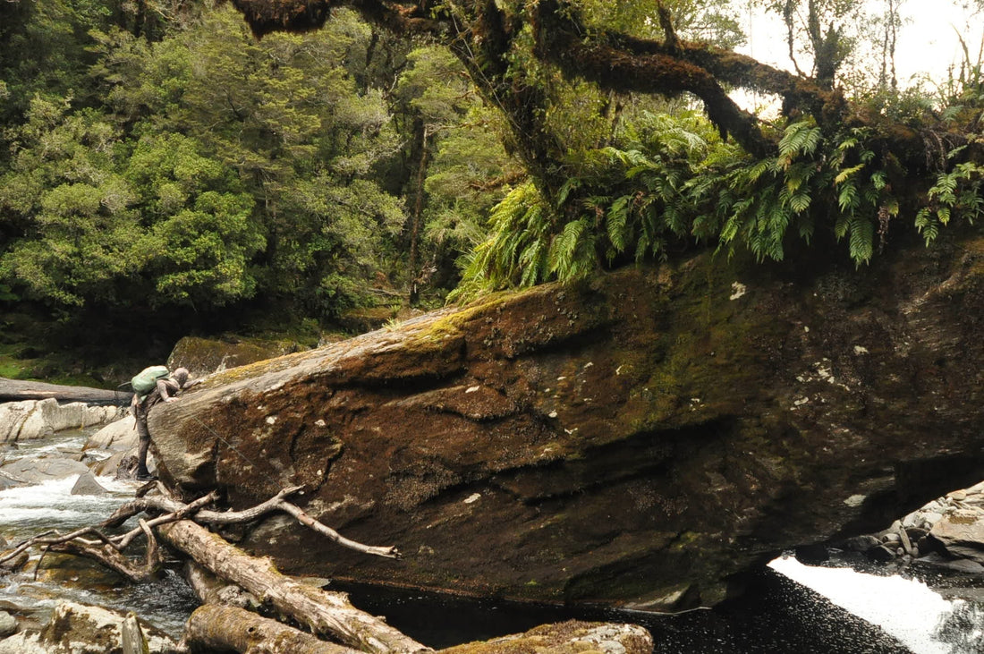 Comfort Threshold | Blood, Sweat, and Wild Browns