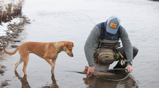 Cover image for Product Release | El Jefe River Armor Net