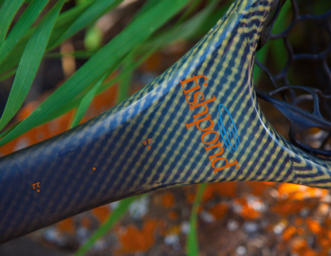 Six Uses For Your Nomad Net