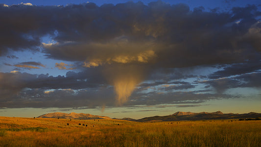 Cover image for Federal Public Land. Our American Identity
