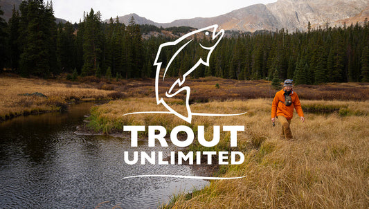 Cover image for Trout Unlimited