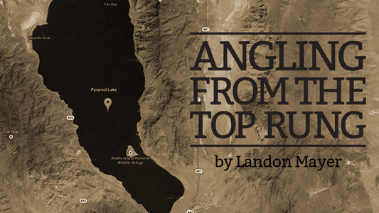 Cover image for Angling from the Top Rung