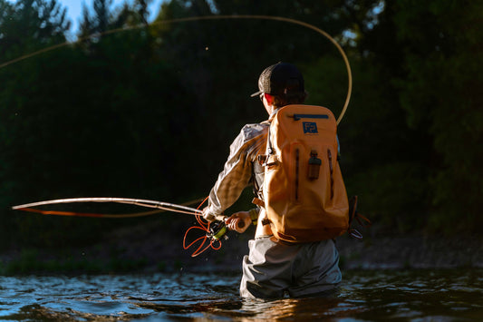 Cover image for Wild Steelheaders United Promotes Responsible Angling