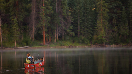 Cover image for Clean Water Rule