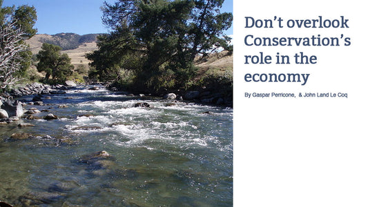 Cover image for Don't Overlook Conservation's Role in the Economy