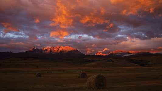 Cover image for Christmas in Holy Cross Wilderness