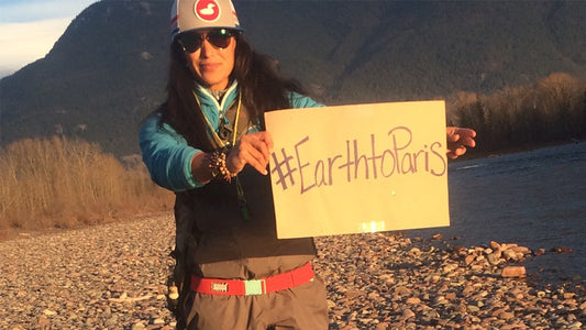 Cover image for Earth to Paris