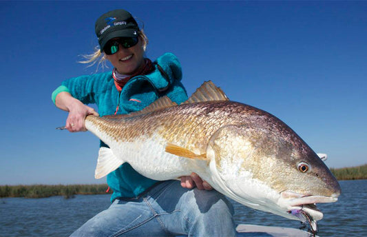 Cover image for Kate Taylor Heads South in Search of Bull Reds
