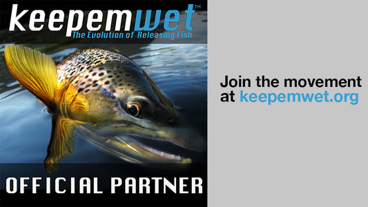Cover image for Keepemwet Movement