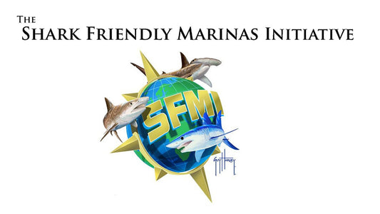 Cover image for John Land Le Coq joins SFMI advisory board