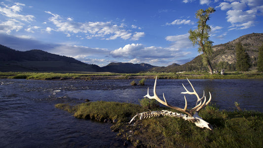 Cover image for Open Letter to Congress on Clean Water from Industry Leaders