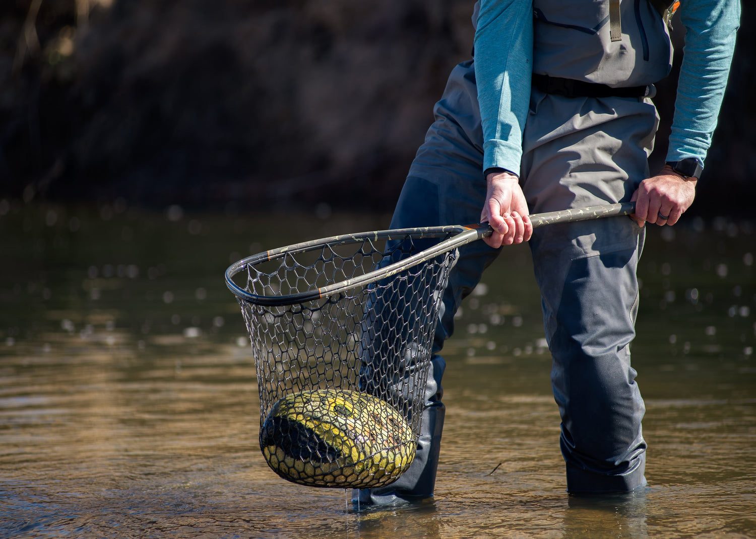 Fishpond Nomad Nets