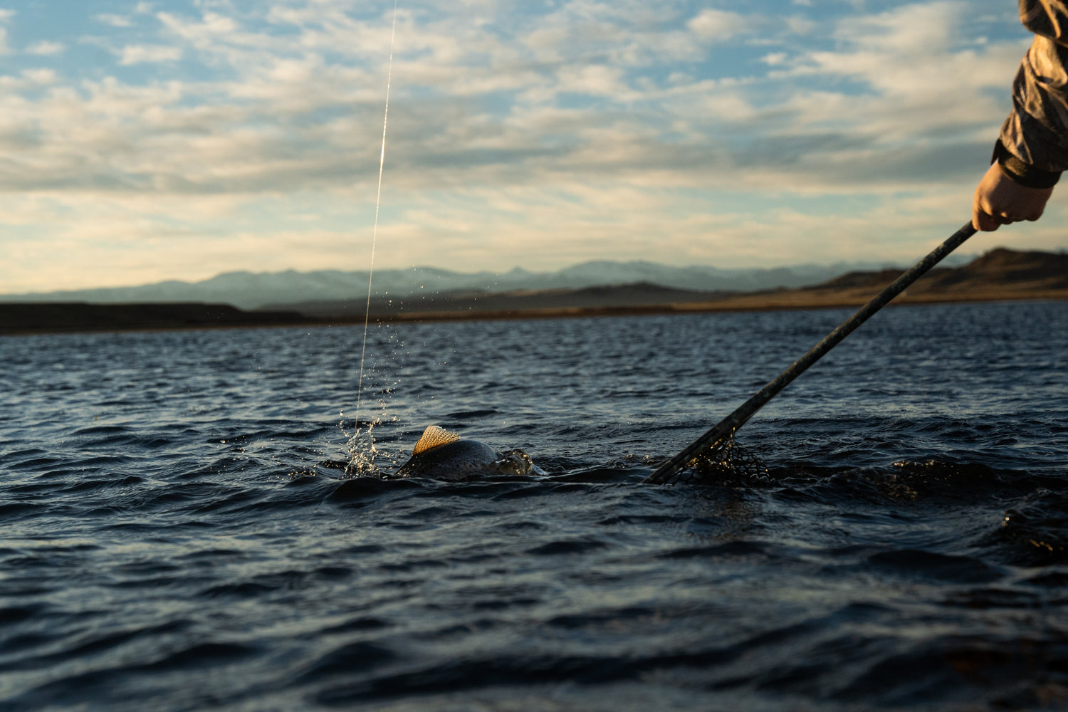 Fishpond Nomad® Boat Net