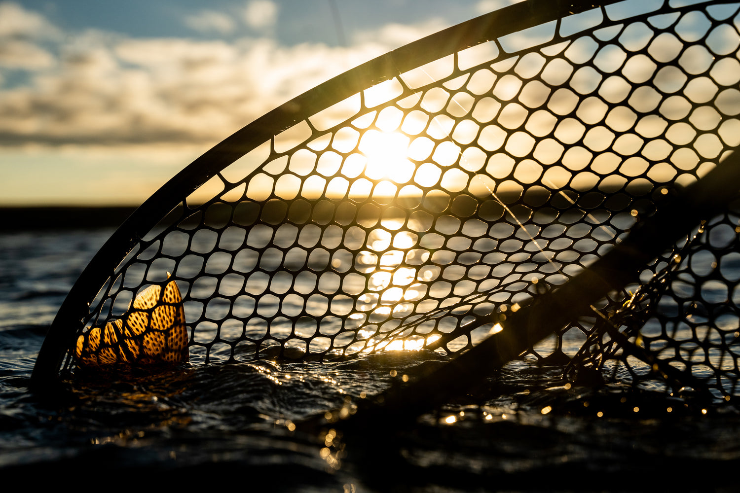Fishpond Nomad® Boat Net
