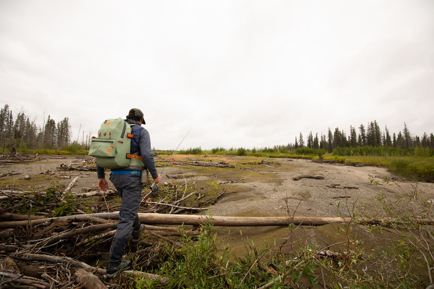 alaska drift wood